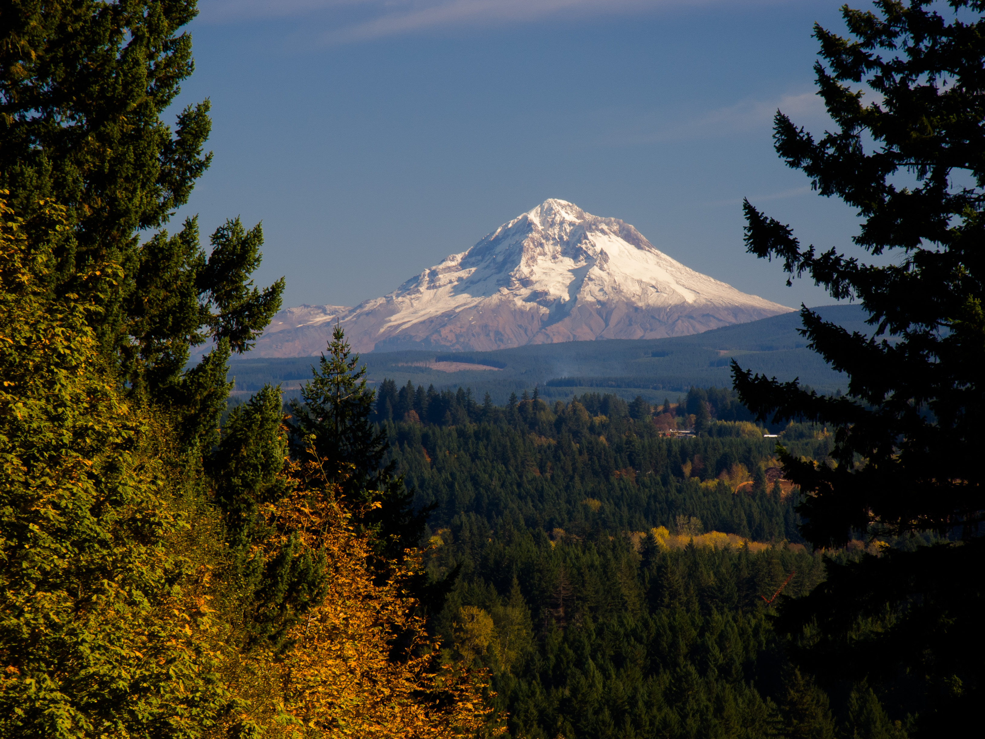 Mt Hood from McIver Park Estacada Oregon